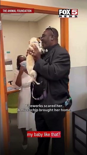 Las Vegas area animal shelter reunites lost dog with owner