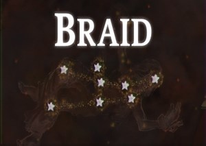 Braid - Guides - Speedrun.com