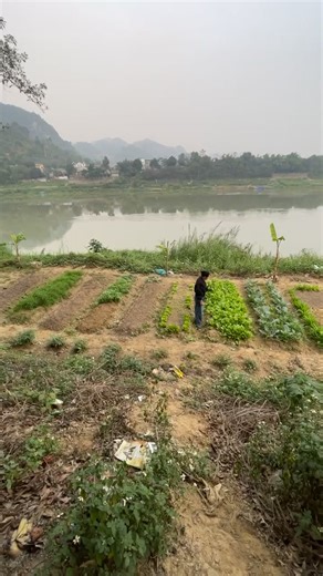 Trong Hieu Đo on Reels