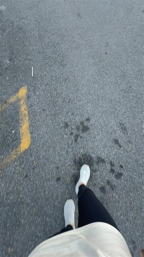 Smart Grocery Shopping Tips for Bulk Buying