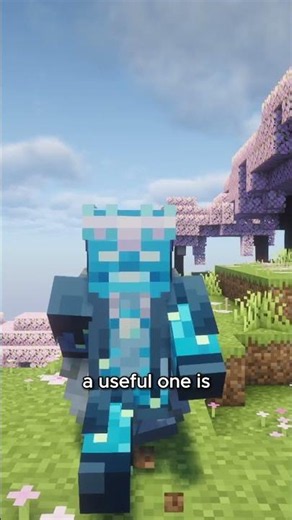 Elytra enchantments