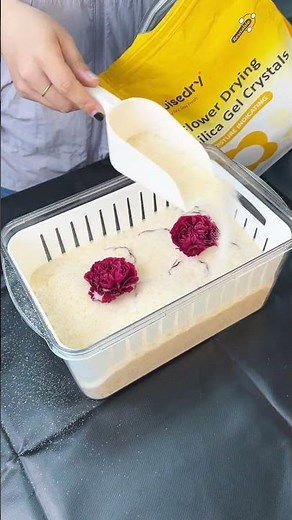 Let's learn how to preserve a wedding bouquet together! 💐
