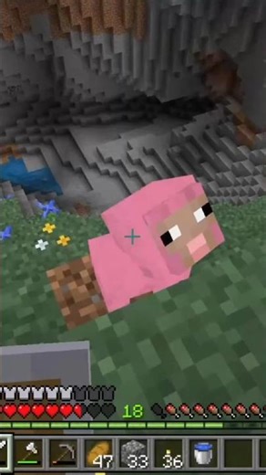 I Found a Baby Pink Sheep