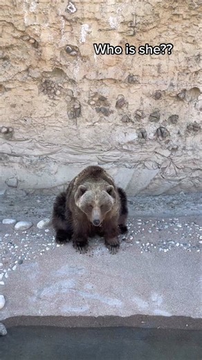 Denver Zoo: Home to AZA-Accredited and Rescue Animals