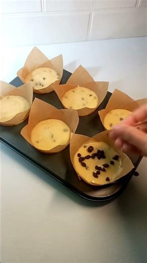 Chocolate Chip Muffins