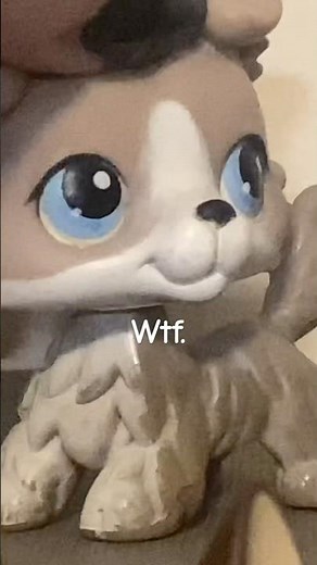 My chaotic baby 🖤 #littlestpetshop #lps #littlestpetshopvideo #lpstuber #lpscollector