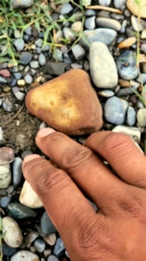 Is it Real Gold? Discovering a Sparkling Mountain Treasure! 💎😱