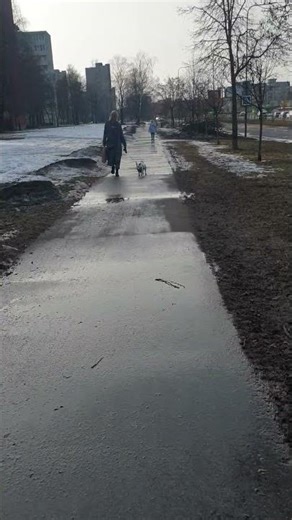 The Lady with the Dog! 20260311 1555281