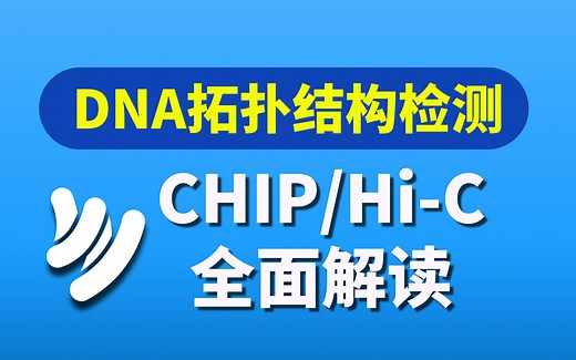 ChIP & ChIP-Seq实验原理与成功要素及测序数据分析解读