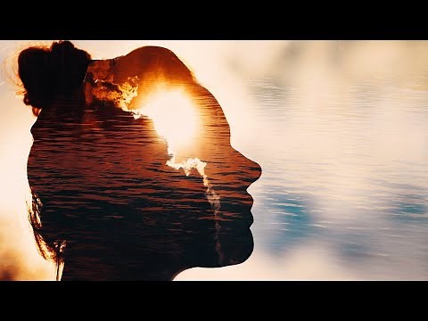 How to Begin your Anti-Racism Journey