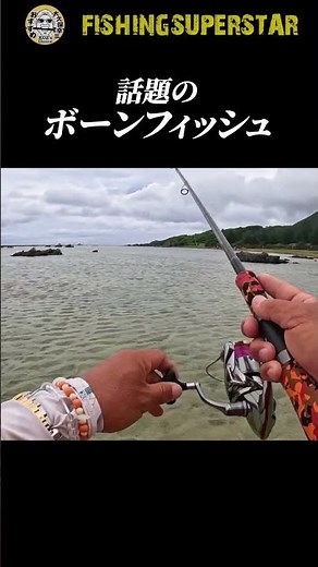徳之島で話題のボーンフィッシュをジグヘッドで…#shorts #ボーンフィッシュ#ジグ