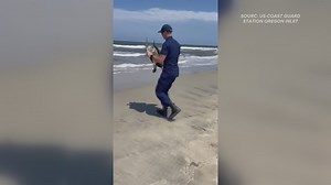U.S. Coast Guard rescues sea turtle on NC coast