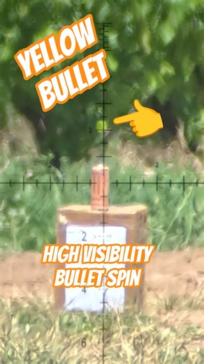 High Visibility Bullet spin #fxairguns