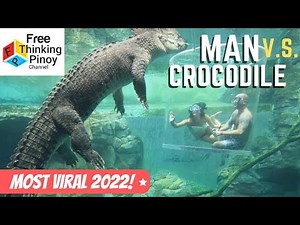 Nakakatakot na BUWAYA ⚠😱⚠ Nakunan sa Camera | 30 Amazing Moments of Crocodile