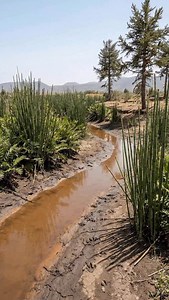 Creating Triassic reconstructions of semi desert landscapes is one of the most compelling forms of visualization. Their raw and distinctive character gives the scenes a unique atmosphere and a strong sense of identity. #triassic #canada Music: Ethereal City | Primeval Planet