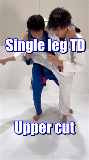 Single leg take down upper cut