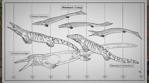 Reptilian Characteristics: Unveiling Their Scaled Secrets and Extraordinary Traits