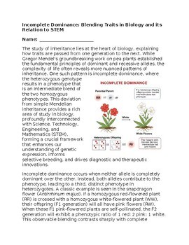 Incomplete Dominance & STEM - No Prep - Worksheet - 100% Editable