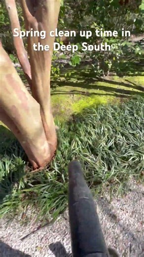 Let the spring clean ups begin #jx5farms #landscaper #lawncare #selfemployed #landscaping #veteran