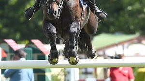 Delight as competitive showjumping to restart next week - Horse & Hound