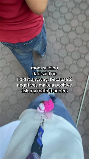 Mathematics of Negatives: A Fun Exploration