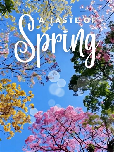 Taste of Spring ☕🌸 Mocha, but make it spring. Rich chocolate bold coffee a hint of seasonal sweetness… because even your caffeine deserves a fresh start. Sip the season. Discover more in our app. 🌿