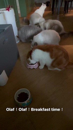 9.5K views · 302 reactions | #DiscatveryChannel | 潘焯鴻 Jason Poon | Facebook