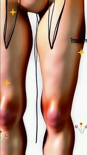 Surface Anatomy: Regions (Anterior View of Female)