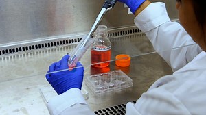 In Vivo Augmentation of Gut-Homing Regulatory T Cell Induction