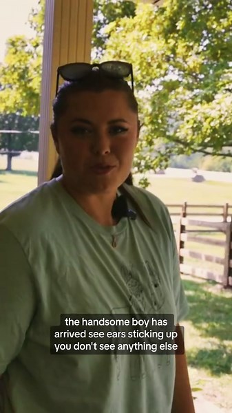 Watch Mr. Hank the Donkey Explore His New Home!