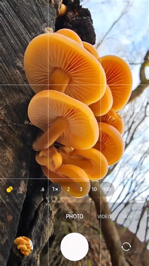 If you want to learn how to take stunning Samsung photos and learn how finally use that camera to the max, then join over 45k students inside Samsung Photography Academy (link in bio) #samsungphotography | Mobile Photography Tutorials