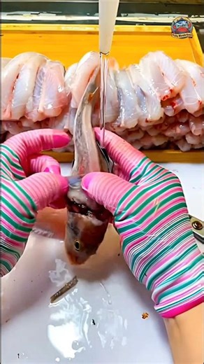 SuperFish Sea Robin Prep Magic 🐠 #seafood #superfish #gurnardfish