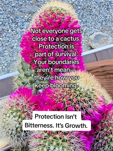 You didn’t become guarded for no reason. You adapted to survive environments that drained you. Protection is wisdom earned through experience. Now you get to grow in peace, not prove your worth. 🌵 #narcissisticabuse #boundaries #selfworth #growthmindset #protectyourpeace