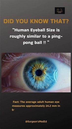 Human Eye Ball is size of Ping Pong Ball !| ‪@SurgeonsMedEd‬