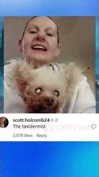 Happy 666th Birthday Avery! - Wild Instagram comments section (Hard Rock) #chatmusic #comedy #memes