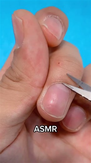 ASMR Satisfying Nail Sounds 🤤 | #asmr #asmrsounds #asmrnails #fyb #tinglesounds #nails #ASMR