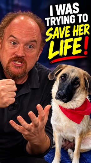 Louis C K Tries to Save His Dog… It Looks INSANE