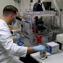 Video: Live Imaging of the Mitochondrial Glutathione Redox State in Primary Neurons using a Ratiometric Indicator