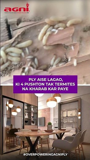 Termite proof Plywood I Top 10 Plywood Company in India | Best Plywood for Furniture |