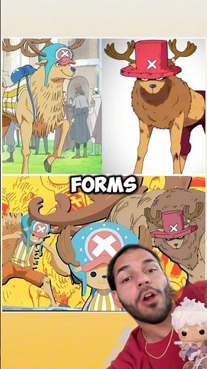 ONE PIECE Chopper Explained