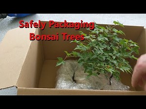 How to Package Bonsai Trees for Shipping
