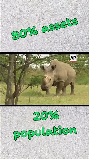 Extinction in Real Time – the Last Male Northern White Rhino