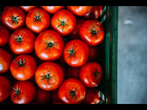 Introduction to Working with a Co-Packer