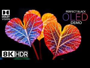TEST OLED DEMO 8K HDR 120fps Dolby Vision | 8K Video Ultra HD (Perfect Black)