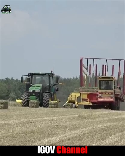 Complementary Work in Harvesting Hay Bales by 8295 R, 8130, 8300 JOHN DEERE Tractors Series and New Holland 1069 Stack Cruisers 🚜 #BigTractorPower #tractorpower #farmmachines | Igov Channel