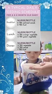 A Typical Daily Feeding Schedule for a 6-8 months old baby.. #feedingschedule #6to8months #reelsvideoシ #awareness #parenting #guidelines Jhunpyo Alcos Lheomark Alcos | Jhane Pajanustan Alcos
