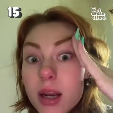 Scares, frights, and ghouls filled October to the brim, but we can't forget the most important events of the month - the most HILARIOUS pet fails! 😹 | The Pet Collective