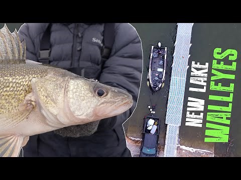 CRAZY Walleye Fishing on a NEW LAKE!
