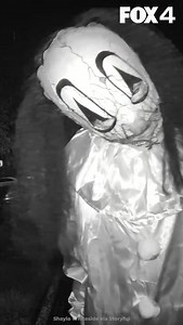 The terrifying moment a trio dressed in Halloween costumes tormented a family and attempted to break into their home in Alexandria, Virginia, was captured on camera. FOX 5 has learned the victim was home with her mother and younger brother and their family dog. The homeowner spoke to FOX 5, and says she’s in hiding with a family member since this dangerous group is still on the run. “At this point, we’re just afraid,” said the victim. She says the suspects damaged property beside the home before