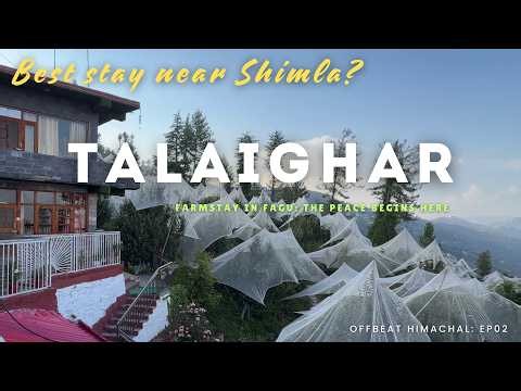 Best Budget Farm Stay Near Shimla | Talaighar Farm Stay Review 🏡 ⭐⭐⭐⭐☆